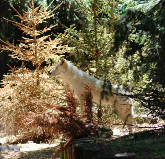 Туры в Рио де Жанейро 2025 - цены на путевки в Бразилию из Москвы от туроператора Coral Travel