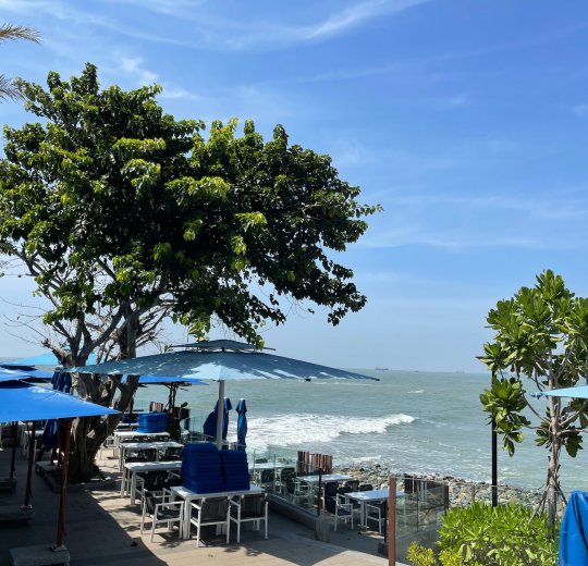 Туры в Вунг Тау 2025 - цены на путевки во Вьетнам из Москвы от туроператора Coral Travel