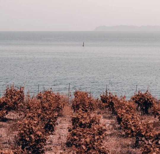 Туры на о. Крит 2025 - цены на путевки в Грецию из Москвы от туроператора Coral Travel