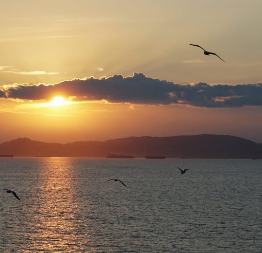 Туры в Пирей 2025 - цены на путевки в Грецию из Москвы от туроператора Coral Travel