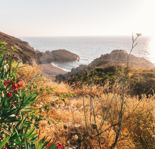 Туры на о. Икария 2025 - цены на путевки в Грецию из Москвы от туроператора Coral Travel