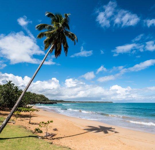 Туры в Саману 2025 - цены на путевки в Доминикану из Москвы от туроператора Coral Travel