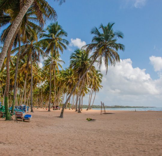 Туры в Саману 2025 - цены на путевки в Доминикану из Москвы от туроператора Coral Travel