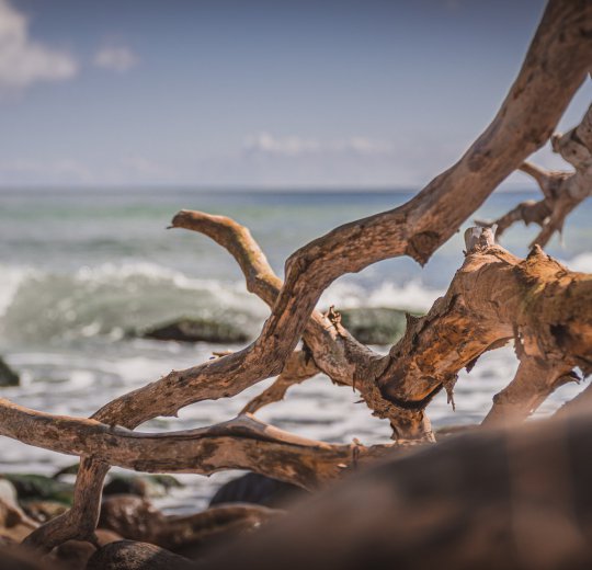 Туры в Кап Кану 2025 - цены на путевки в Доминикану из Москвы от туроператора Coral Travel