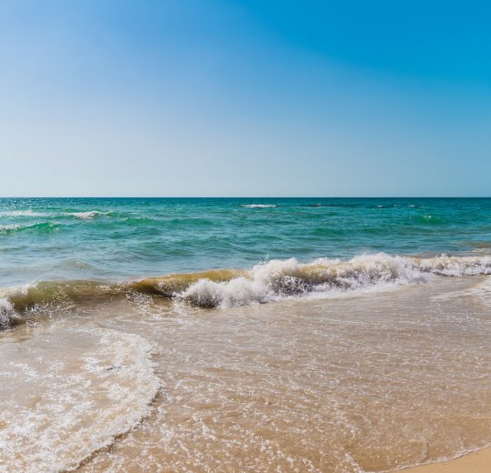 Туры в Нетанию 2025 - цены на путевки в Израиль из Москвы от туроператора Coral Travel