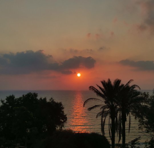 Туры в Нетанию 2025 - цены на путевки в Израиль из Москвы от туроператора Coral Travel