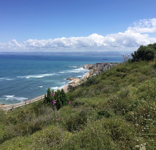 Туры в Хайфу 2025 - цены на путевки в Израиль из Москвы от туроператора Coral Travel