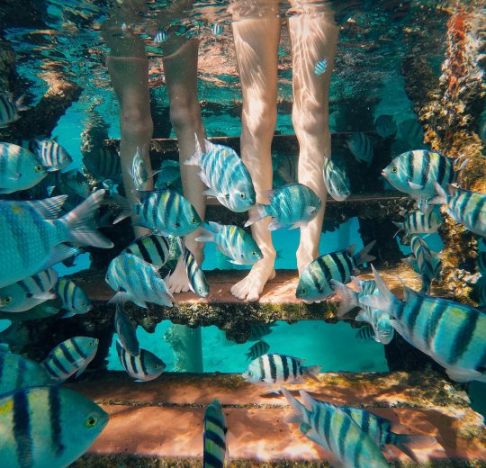 Туры в Эйлат 2025 - цены на путевки в Израиль из Москвы от туроператора Coral Travel