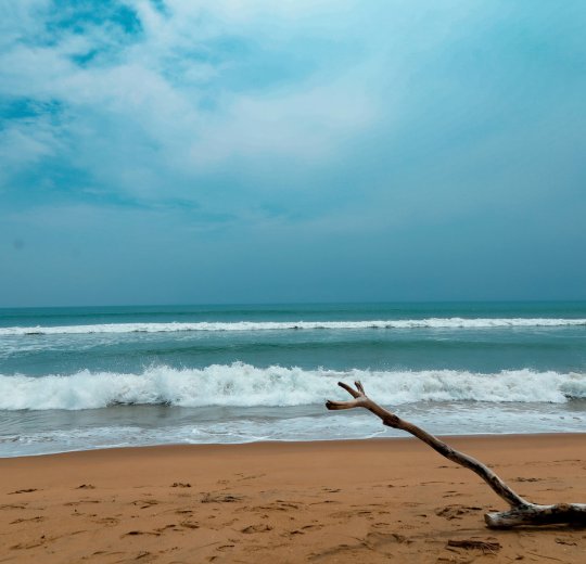 Туры в Ченнай 2025 - цены на путевки в Индию из Москвы от туроператора Coral Travel