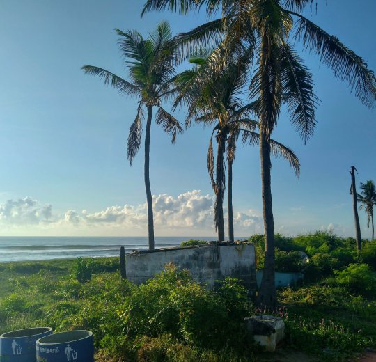 Туры в Ченнай 2025 - цены на путевки в Индию из Москвы от туроператора Coral Travel