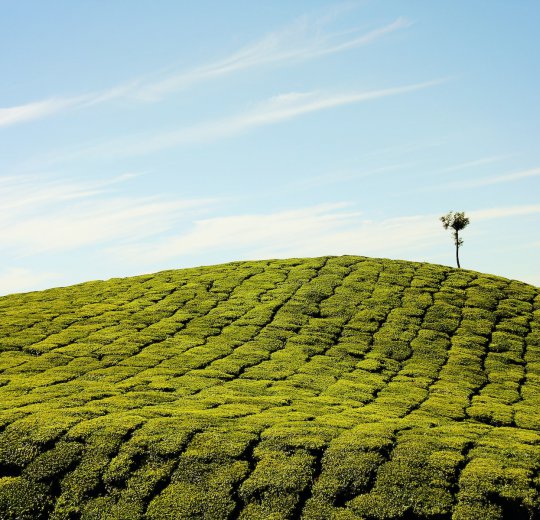 Туры в Дели 2025 - цены на путевки в Индию из Москвы от туроператора Coral Travel