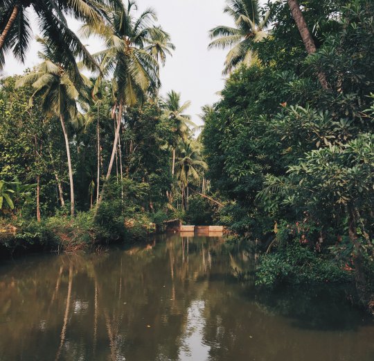 Туры в Дели 2025 - цены на путевки в Индию из Москвы от туроператора Coral Travel