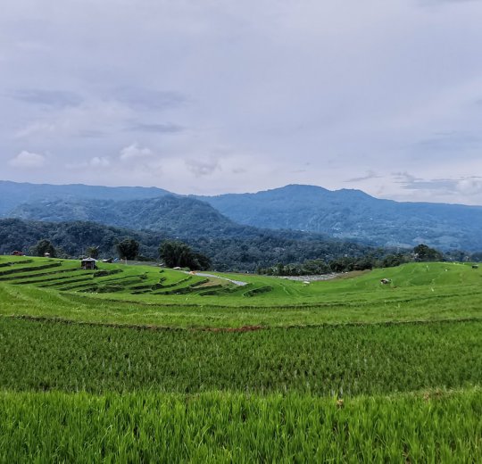 Туры на о. Сулавеси 2025 - цены на путевки в Индонезию из Москвы от туроператора Coral Travel