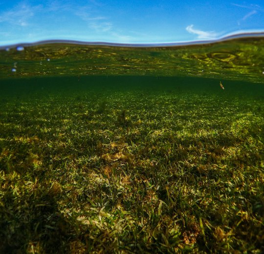 Туры на о. Сулавеси 2025 - цены на путевки в Индонезию из Москвы от туроператора Coral Travel