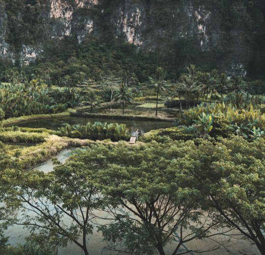 Туры на о. Сулавеси 2025 - цены на путевки в Индонезию из Москвы от туроператора Coral Travel