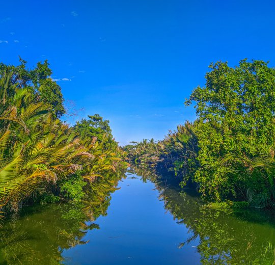 Туры на о. Сулавеси 2025 - цены на путевки в Индонезию из Москвы от туроператора Coral Travel