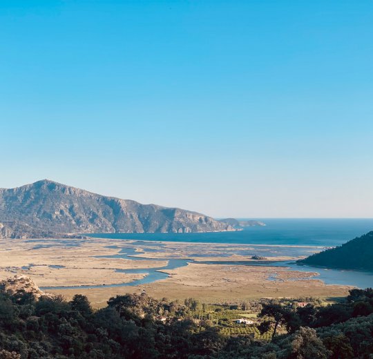 Туры в Далянь 2025 - цены на путевки в Китай из Москвы от туроператора Coral Travel