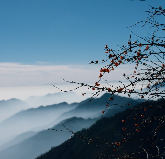 Туры в Чэнду 2025 - цены на путевки в Китай из Москвы от туроператора Coral Travel