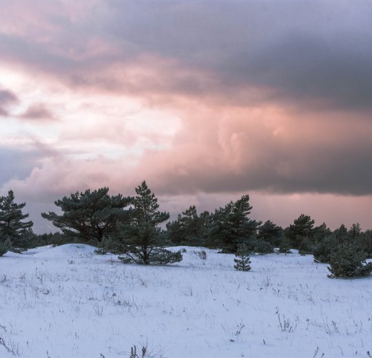 Туры в Вентспилс 2025 - цены на путевки в Латвию из Москвы от туроператора Coral Travel