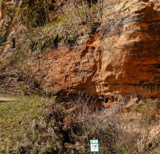 Туры в Сигулду 2025 - цены на путевки в Латвию из Москвы от туроператора Coral Travel