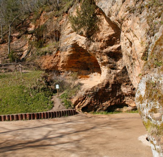 Туры в Сигулду 2025 - цены на путевки в Латвию из Москвы от туроператора Coral Travel