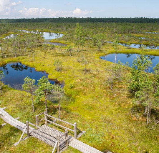 Туры в Юрмалу 2025 - цены на путевки в Латвию из Москвы от туроператора Coral Travel