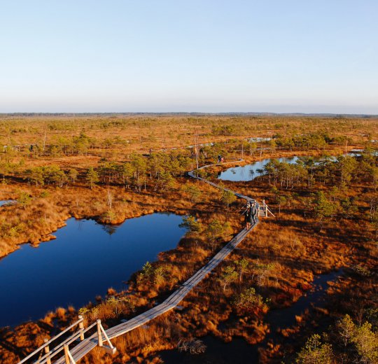 Туры в Юрмалу 2025 - цены на путевки в Латвию из Москвы от туроператора Coral Travel