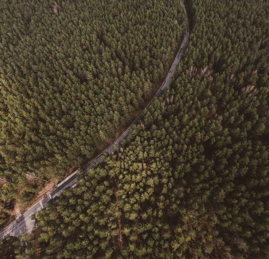 Туры в Вильнюс 2025 - цены на путевки в Литву из Москвы от туроператора Coral Travel