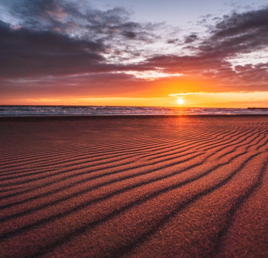 Туры в Клайпеду 2025 - цены на путевки в Литву из Москвы от туроператора Coral Travel