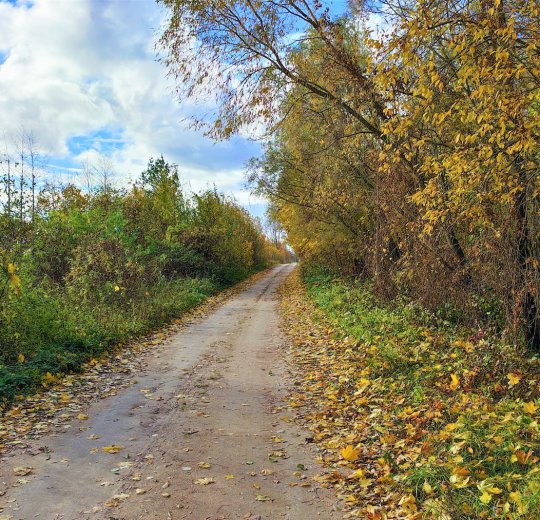 Туры в Мариямполе 2025 - цены на путевки в Литву из Москвы от туроператора Coral Travel