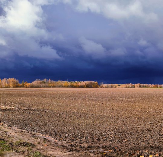 Туры в Мариямполе 2025 - цены на путевки в Литву из Москвы от туроператора Coral Travel