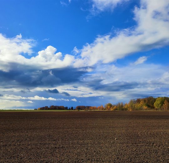 Туры в Мариямполе 2025 - цены на путевки в Литву из Москвы от туроператора Coral Travel