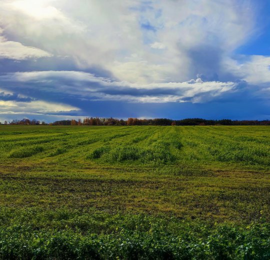 Туры в Мариямполе 2025 - цены на путевки в Литву из Москвы от туроператора Coral Travel