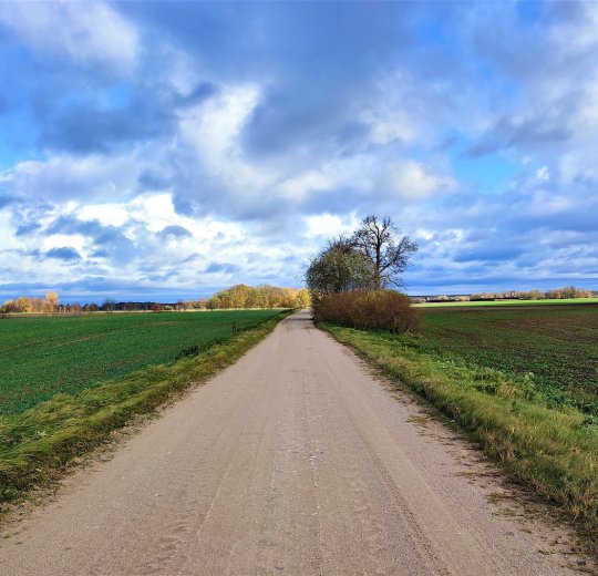 Туры в Мариямполе 2025 - цены на путевки в Литву из Москвы от туроператора Coral Travel