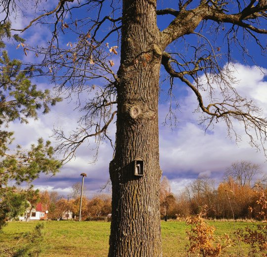 Туры в Мариямполе 2025 - цены на путевки в Литву из Москвы от туроператора Coral Travel