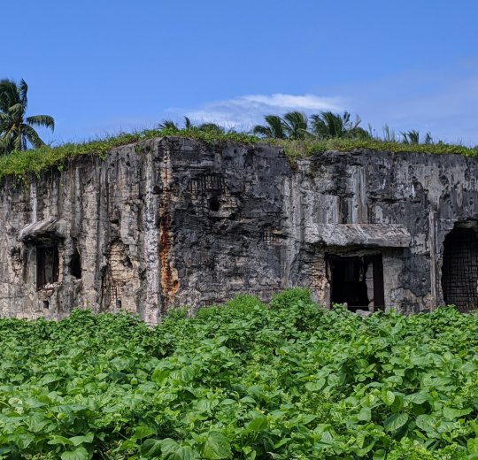 Туры на Лавияни Атолл 2025 - цены на путевки на Мальдивы из Москвы от туроператора Coral Travel