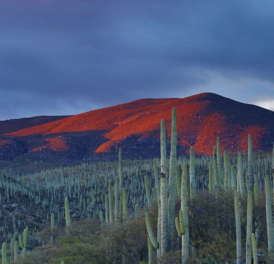 Туры в Мехико 2025 - цены на путевки в Мексику из Москвы от туроператора Coral Travel