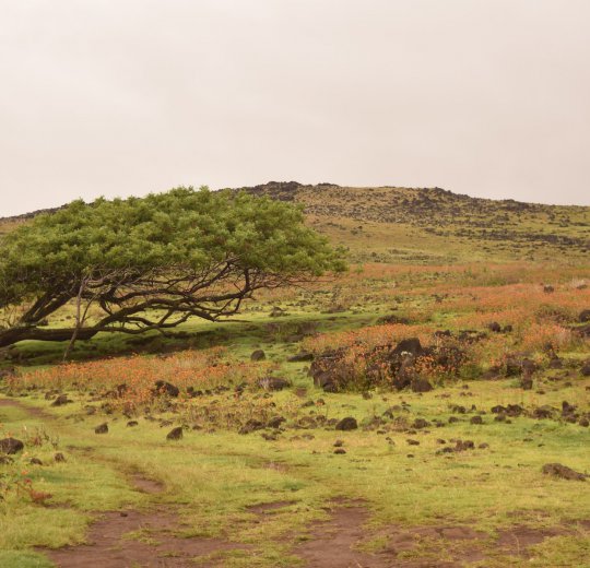 Туры на Исла Мухерес (о.Женщин) 2025 - цены на путевки в Мексику из Москвы от туроператора Coral Travel