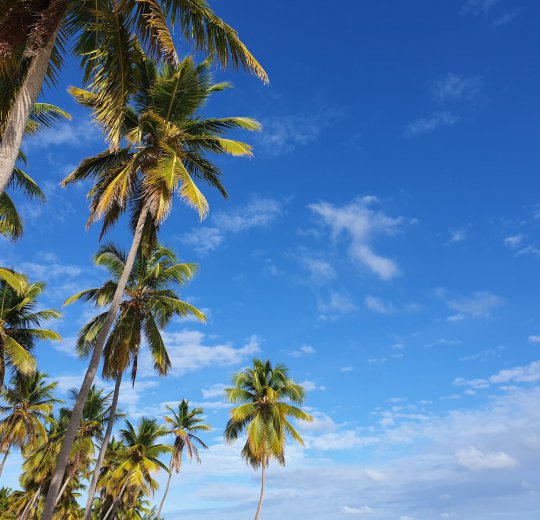 Туры на Исла Мухерес (о.Женщин) 2025 - цены на путевки в Мексику из Москвы от туроператора Coral Travel