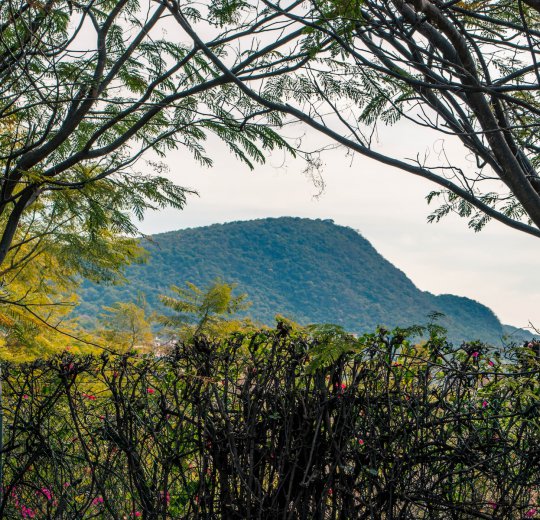 Туры в Морелос 2025 - цены на путевки в Мексику из Москвы от туроператора Coral Travel