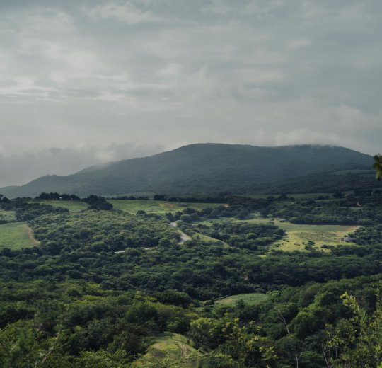 Туры в Морелос 2025 - цены на путевки в Мексику из Москвы от туроператора Coral Travel