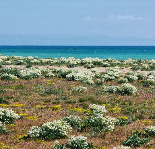 Туры в Евпаторию 2025 - цены на путевки в Россию из Москвы от туроператора Coral Travel