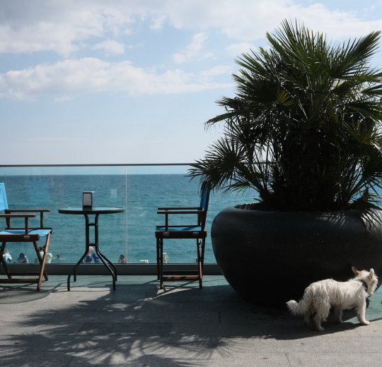 Туры в Ялту 2025 - цены на путевки в Россию из Москвы от туроператора Coral Travel