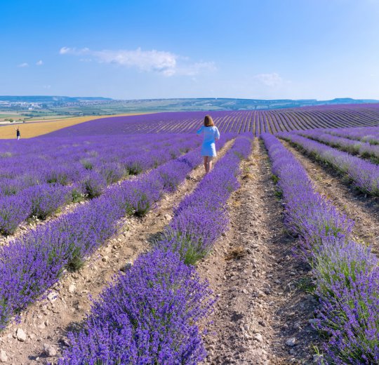 Туры в Бахчисарай 2025 - цены на путевки в Россию из Москвы от туроператора Coral Travel