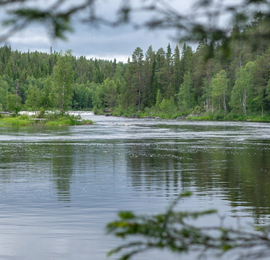 Туры в Карелию 2025 - цены на путевки в Россию из Москвы от туроператора Coral Travel