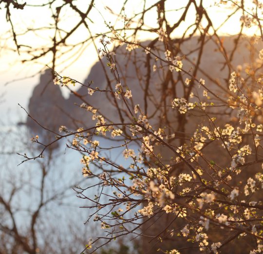 Туры в Керчь 2025 - цены на путевки в Россию из Москвы от туроператора Coral Travel