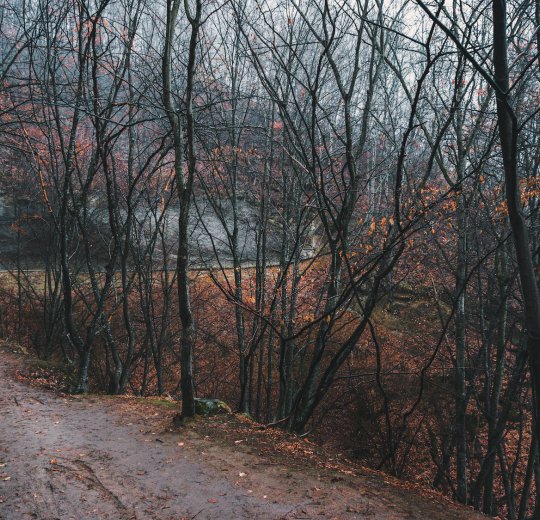 Туры в Кисловодск 2025 - цены на путевки в Россию из Москвы от туроператора Coral Travel