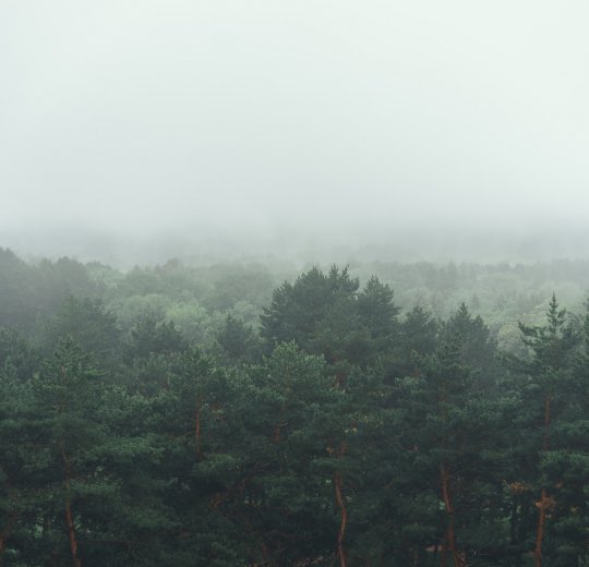 Туры в Кисловодск 2025 - цены на путевки в Россию из Москвы от туроператора Coral Travel