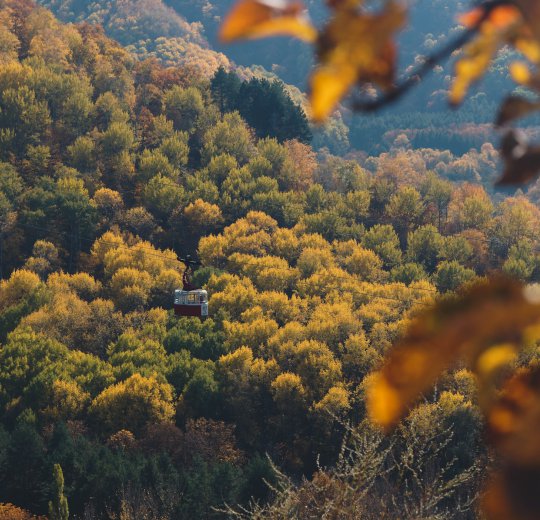 Туры в Кисловодск 2025 - цены на путевки в Россию из Москвы от туроператора Coral Travel