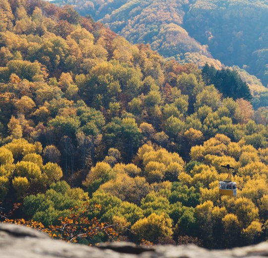 Туры в Кисловодск 2025 - цены на путевки в Россию из Москвы от туроператора Coral Travel